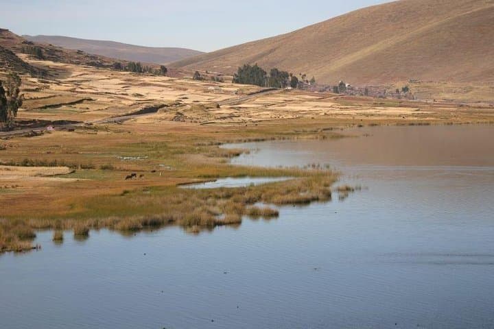 Qeswachaka Bridge & Four Lagoons: Private Day Tour from Cusco photo 4