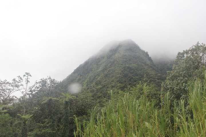 North Caribbean Tour in Martinique: Montagne Pelée, Rum & Black Sand Beaches photo 4