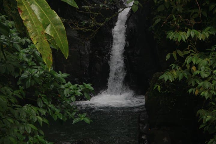 North Caribbean Tour in Martinique: Montagne Pelée, Rum & Black Sand Beaches photo 5