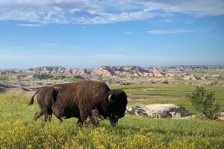 Private Badlands Day Tour from Rapid City — Badlands National Park & Minuteman Site photo 4