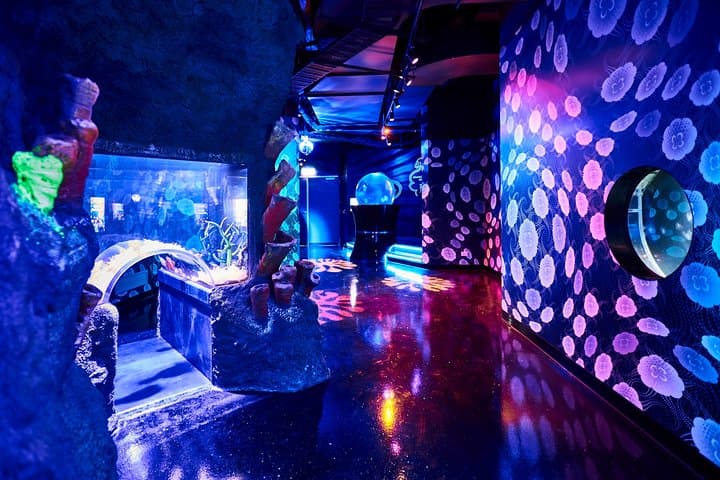 Inside SEA LIFE Melbourne: A 90-Minute Ocean Adventure on the Yarra photo 3