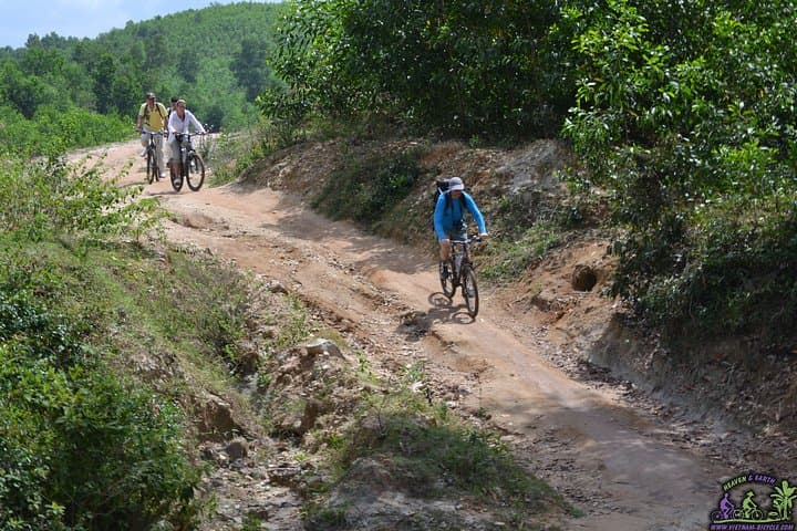 Hoi An Countryside Mountain Bike Tour: Rice Fields, Bamboo Bridges & Banh Mi