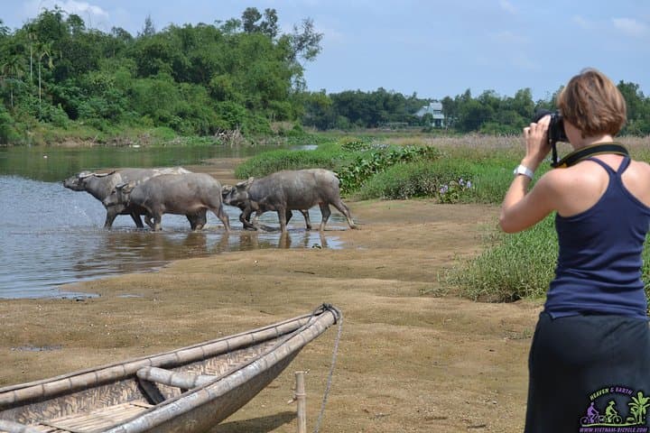 Hoi An Countryside Mountain Bike Tour: Rice Fields, Bamboo Bridges & Banh Mi photo 5