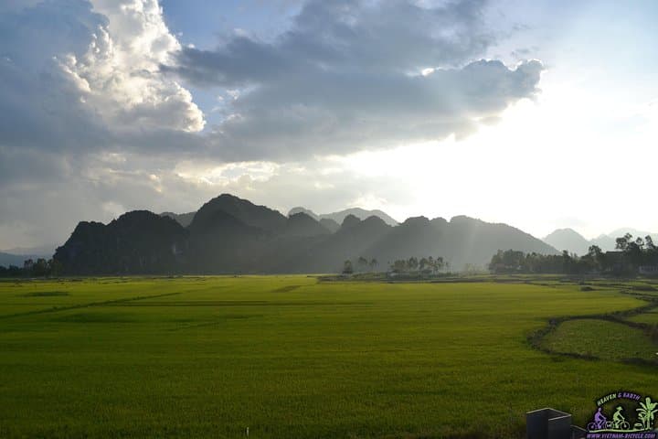 Hoi An Countryside Mountain Bike Tour: Rice Fields, Bamboo Bridges & Banh Mi photo 3