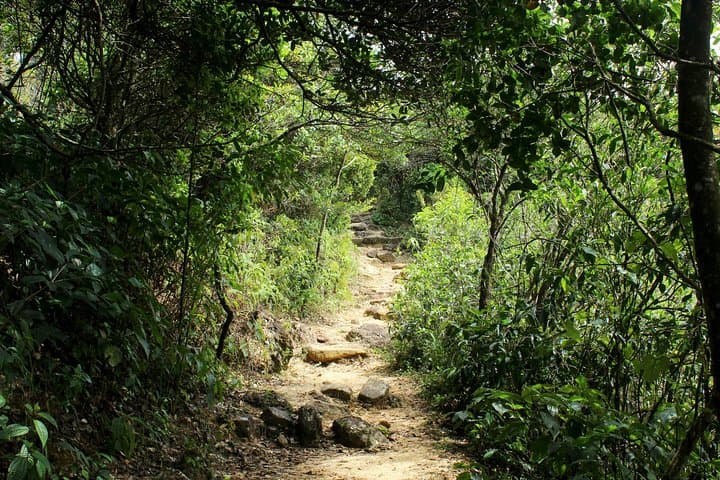 Knuckles Range Hike & Mud Cottage Overnight — Cloud-Forest Trails and Natural Pools photo 2