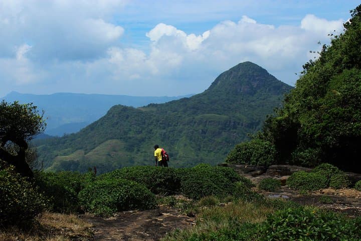 Knuckles Range Hike & Mud Cottage Overnight — Cloud-Forest Trails and Natural Pools photo 4
