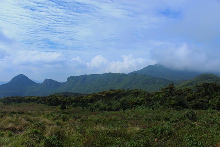 Knuckles Range Hike & Mud Cottage Overnight — Cloud-Forest Trails and Natural Pools photo 6