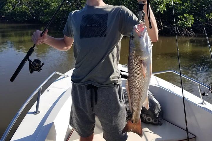 Naples Bay Private Fishing Charter: Half-Day Gulf & Backcountry Trips photo 6