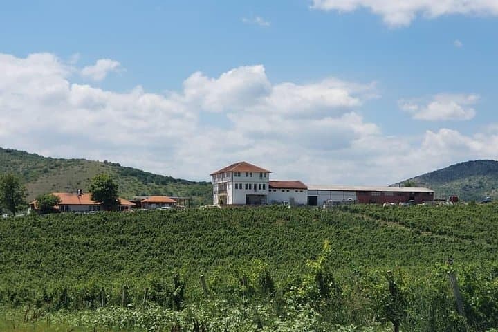Chateau Sopot Private Wine Tour from Skopje — Vineyard Tasting & Lunch photo 2