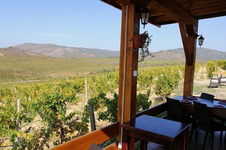 Chateau Sopot Private Wine Tour from Skopje — Vineyard Tasting & Lunch photo 3