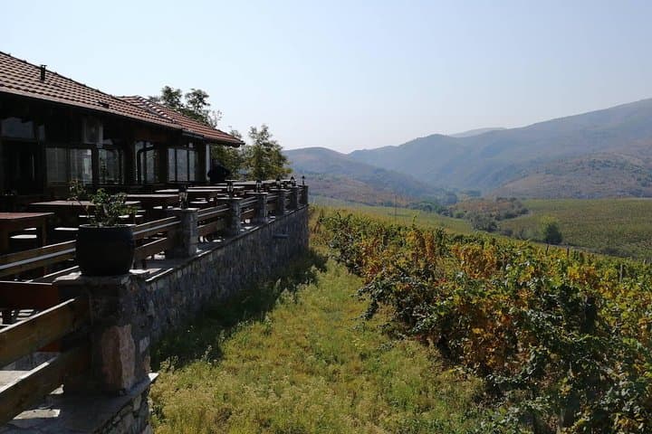 Chateau Sopot Private Wine Tour from Skopje — Vineyard Tasting & Lunch photo 4