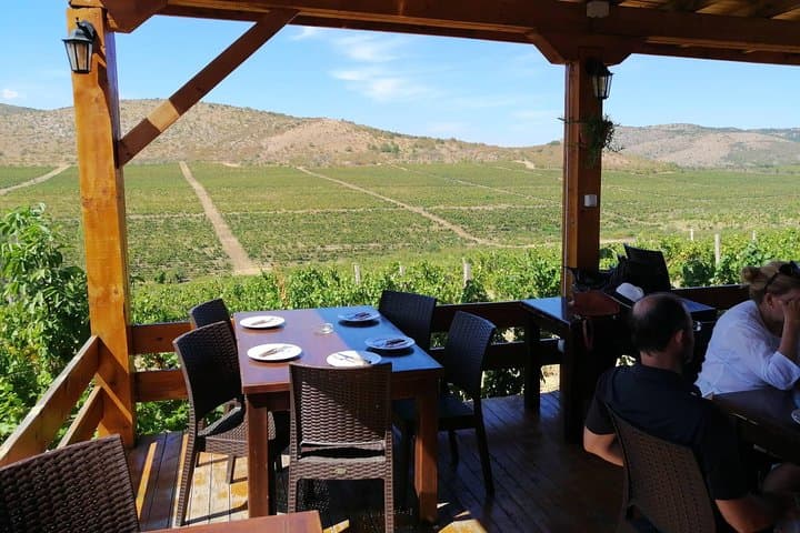 Chateau Sopot Private Wine Tour from Skopje — Vineyard Tasting & Lunch photo 5