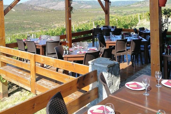 Chateau Sopot Private Wine Tour from Skopje — Vineyard Tasting & Lunch photo 6