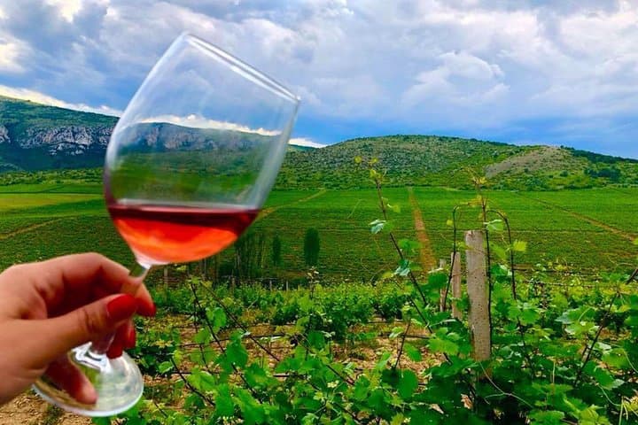 Chateau Sopot Private Wine Tour from Skopje — Vineyard Tasting & Lunch