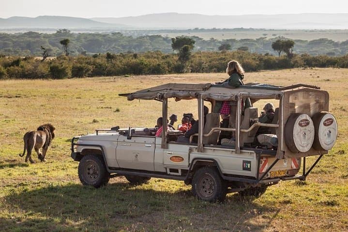 6-Day South Africa Honeymoon: Cape Town, Johannesburg & Durban Highlights photo 4