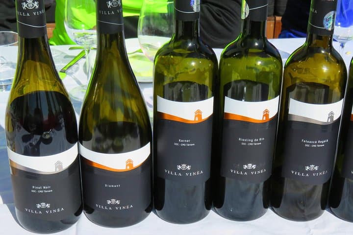 Dealu Mare Wine Route by Bike — Half-Day Cycling & Tastings from Urlați photo 5
