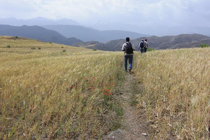 Half-Day Atlas Mountains Walk from Marrakech: Toufssirin, Outghal & Toubkal Park photo 4
