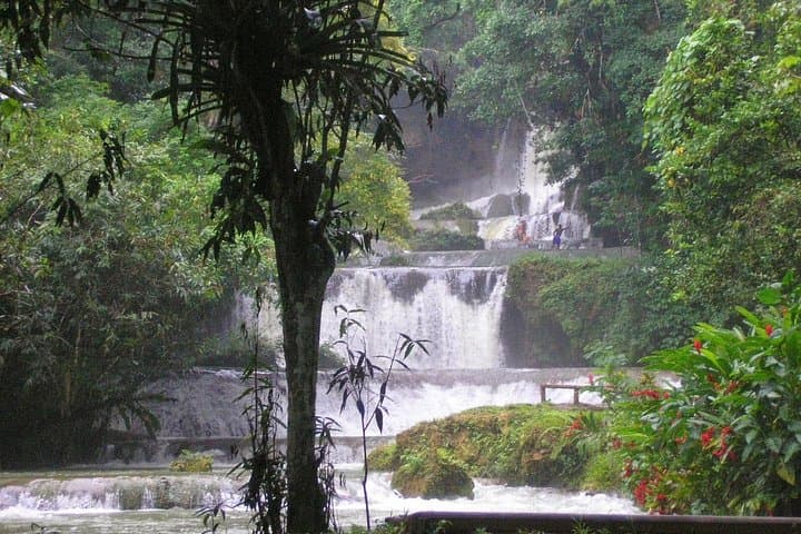 YS Falls Day Adventure: Swimming Seven Cascades & South Coast Sightseeing from Negril photo 1