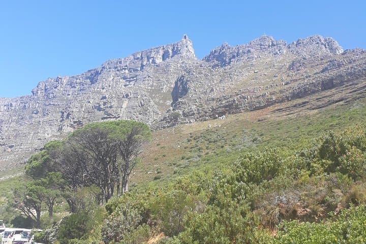 cape-town-halfday-table-mountain-and-city-tour-guide photo 6