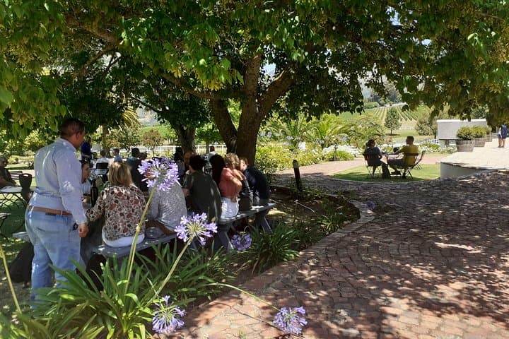 Cape Winelands Wine Tasting Full-Day Tour — Stellenbosch & Franschhoek photo 4