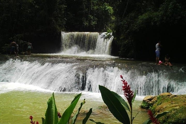 YS Falls Day Adventure: Swimming Seven Cascades & South Coast Sightseeing from Negril photo 2