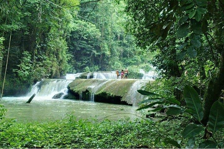 YS Falls Day Adventure: Swimming Seven Cascades & South Coast Sightseeing from Negril photo 3