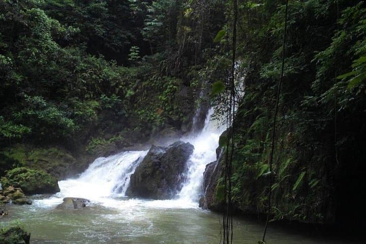 YS Falls Day Adventure: Swimming Seven Cascades & South Coast Sightseeing from Negril photo 4