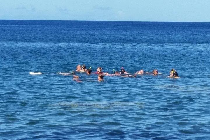 Dominica Full-Day Snorkel to Champagne Reef, Scotts Head & Mero Beach photo 4