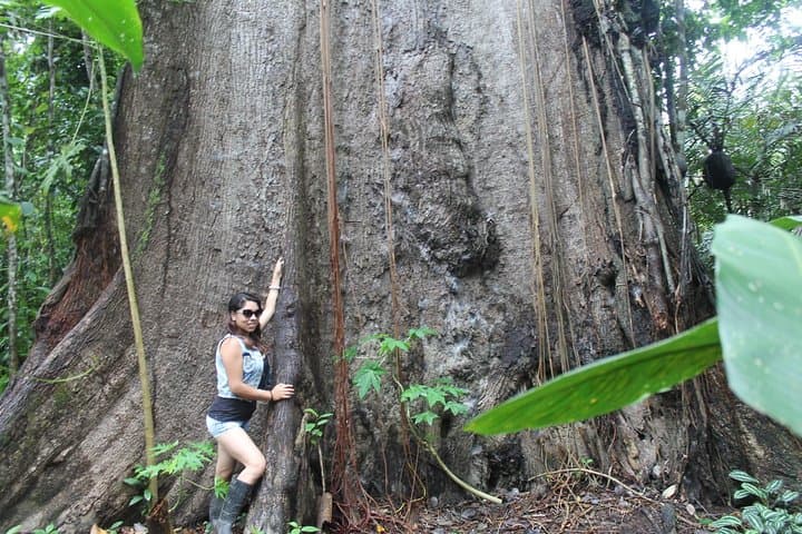 5-Day Amazon River Expedition from Iquitos: Ecolodge Jungle Immersion photo 2