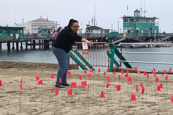 Fantastic Catalina Race: Avalon Interactive Scavenger Hunt & Sightseeing Adventure photo 6