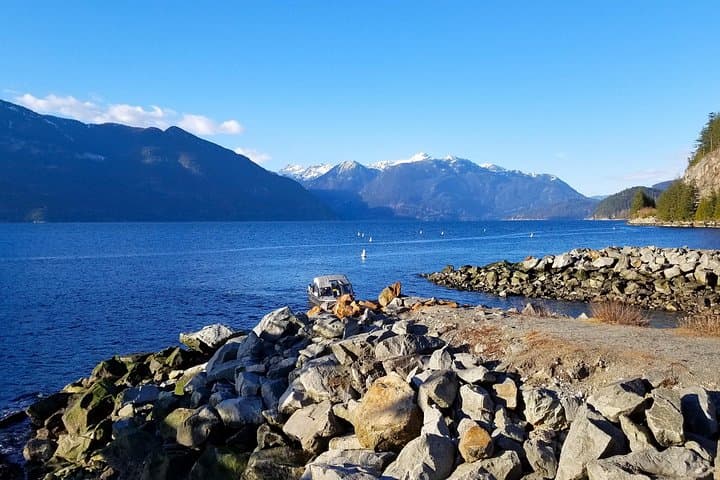 Vancouver to Whistler Day Trip: Sea-to-Sky Highway, Shannon Falls & Eagle Watching photo 1