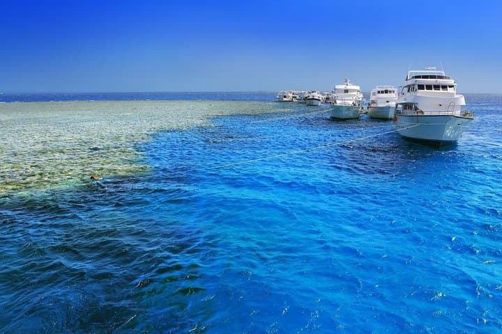 Snorkeling Giftun Island: Red Sea Reefs & Desert-Island Lunch from Hurghada photo 5