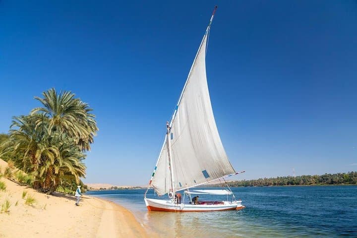 Private Felucca Ride and Kitchener Botanical Garden in Aswan photo 5