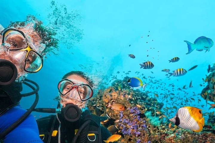 Hurghada Red Sea Scuba: Full-Day Beginner Dive Trip photo 6
