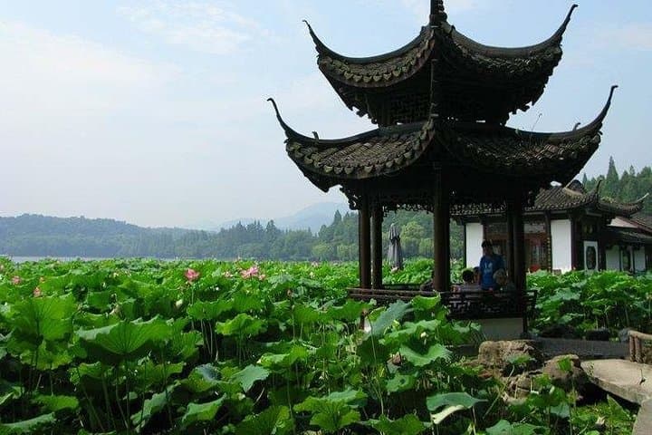 Hangzhou Private Day Tour from Nanjing: Bullet Train to West Lake, Lingyin & Tea Country photo 3