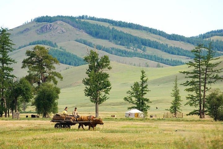 Terelj National Park & Genghis Khan Statue Day Trip: Nomads, Aryabal Temple, and Scenic Hikes photo 2