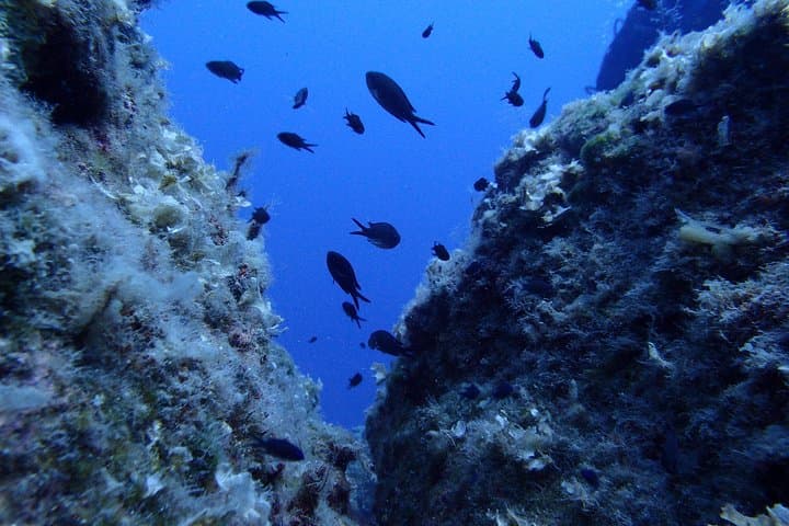PADI Open Water Diver Course in Lanzarote — 3-Day Playa Chica Scuba Certification photo 2