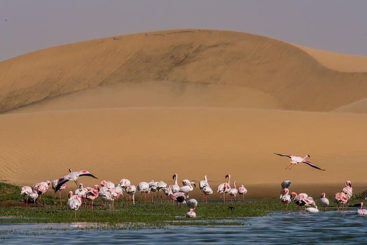 15-Day Self-Drive Through Namibia: Dunes, Wildlife & Coastal Skies photo 4