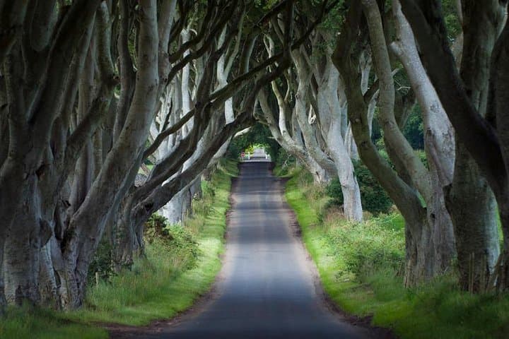 2-Day Game of Thrones Rail Tour from Dublin: Belfast, Dark Hedges & Giant's Causeway photo 2