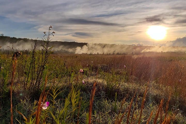 Private Tour of Hawaii Volcanoes National Park — Sunrise, Lava Fields & Steam Vents photo 3