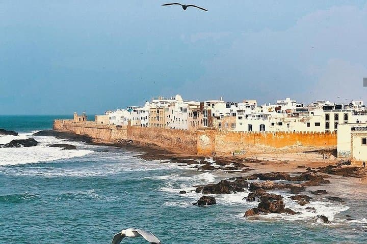 Essaouira Day Trip from Marrakesh: Coastal Port, Medina & Argan Oil