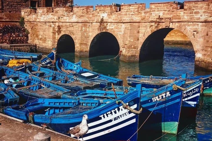 Essaouira Day Trip from Marrakesh: Coastal Port, Medina & Argan Oil photo 3