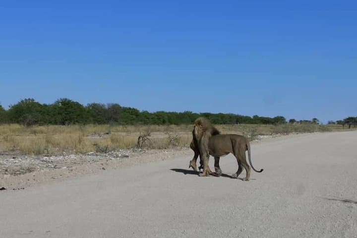 12-Day Namibia Self-Drive Lodge Tour — Etosha, Sossusvlei & Fish River Canyon photo 3