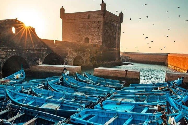 Essaouira Day Trip from Marrakech — Explore Mogador’s Medina, Beaches & Argan Groves