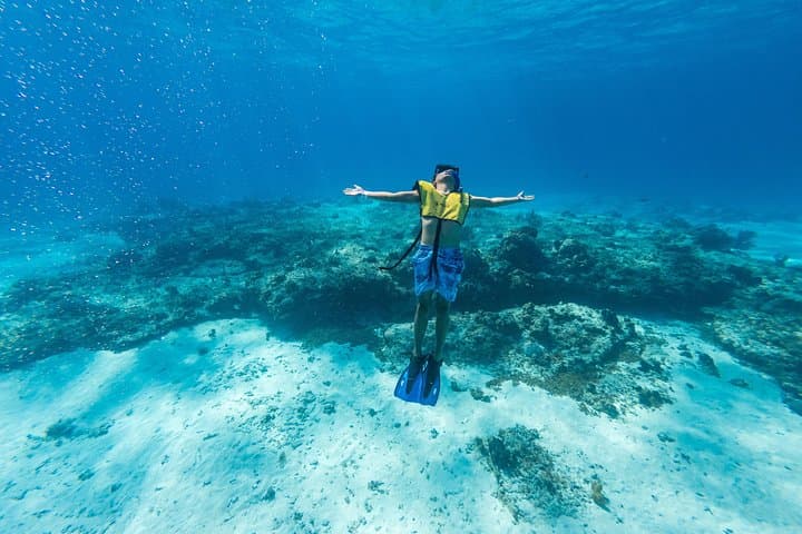 Cozumel Catamaran Snorkel to El Cielo, Palancar & El Cielito (Lunch Included) photo 2