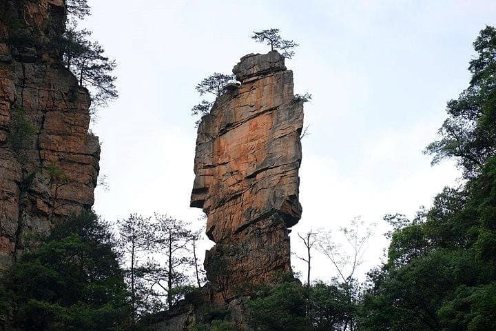 Zhangjiajie Avatar Panorama: 4-Day National Park, Glass Bridge & Tea Experience photo 3