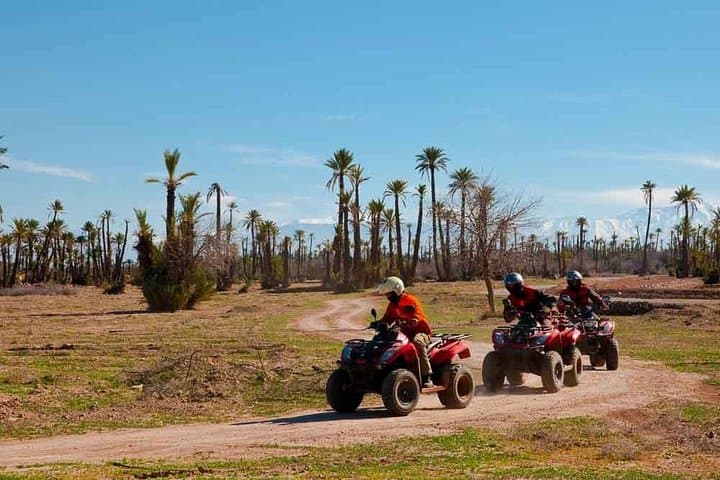 Quad Biking in Marrakech Palm Grove — Palmeraie ATV Adventure photo 6