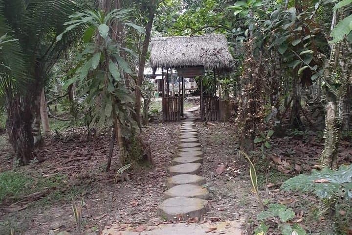 5-Day Amazon River Expedition from Iquitos: Ecolodge Jungle Immersion photo 5