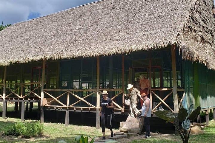 5-Day Amazon River Expedition from Iquitos: Ecolodge Jungle Immersion photo 6