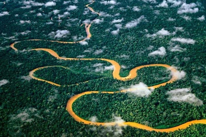 Manu Jungle Tour (3 Days) — Parrot Clay Licks, Cloud Forests & River Rafting from Cusco photo 2